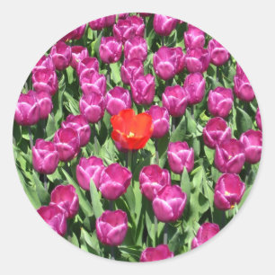 Adesivo Desafio a ser diferente