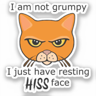 Adesivo Descolando seu rosto Laranja Cat - PACOTE DE Benef