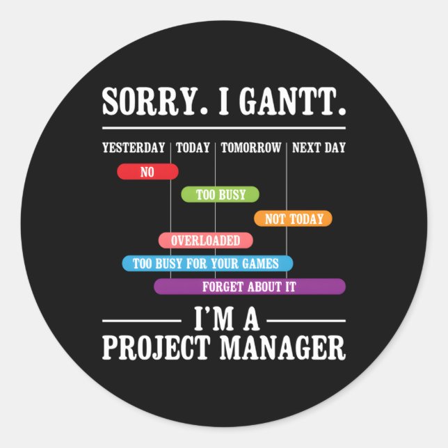 Adesivo Desculpe Por Ter Sido Um Planejamento De Execução  (Frente)