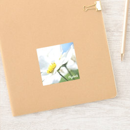 Adesivo Desejos com margaridas brancas personalizadas