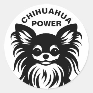 Adesivo Desenho animado de Chihuahua fofo de pelo longo