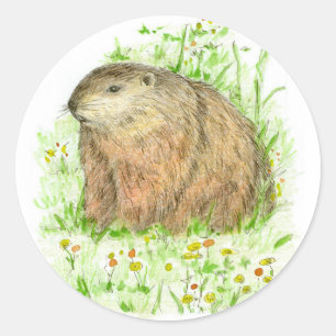 Adesivo Desenho animal da marmota do dia de Groundhog