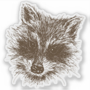 Adesivo Desenho Da Criatura Do Pavial Raccoon