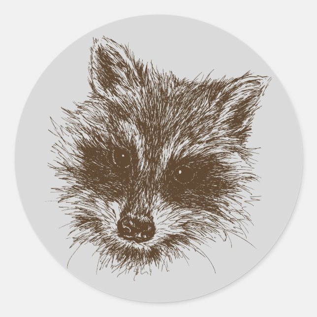 Adesivo Desenho Da Criatura Do Pavial Raccoon (Frente)