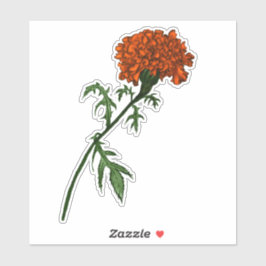 Adesivo Desenho de Tinta da Flor Marigold Francês