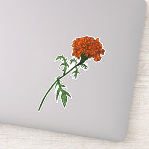 Adesivo Desenho de Tinta da Flor Marigold Francês