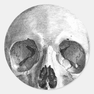 Adesivo Desenho do esboço da anatomia do crânio humano