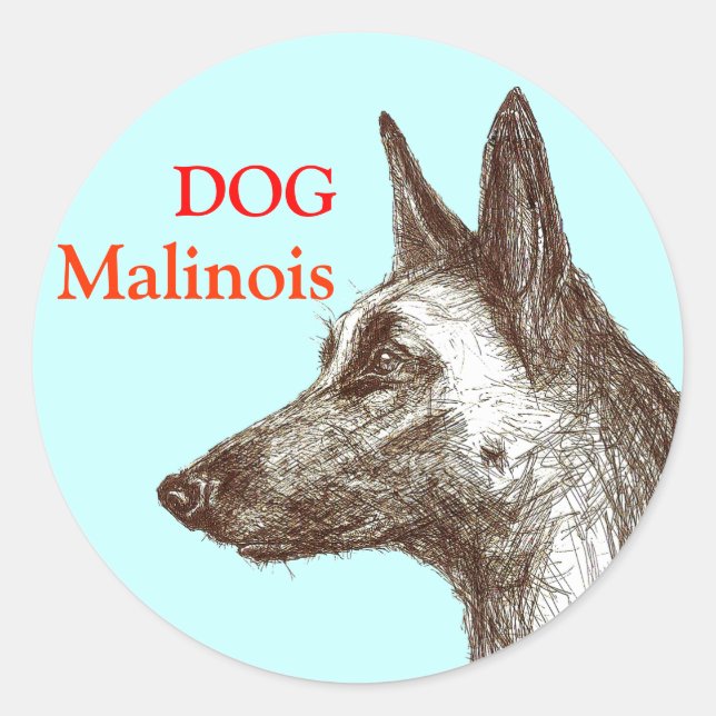 Adesivo desenho malinois (Frente)
