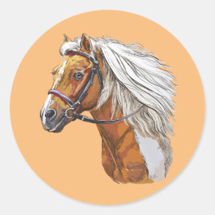 Adesivo Desenho manual no retrato do cavalo