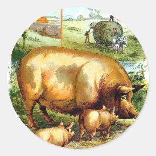 Adesivo Desenho Vintage: Porco Mãe com Leitões