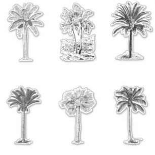 Adesivo Desenhos da Árvore de Palma da Vintage