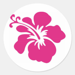Adesivo Design cor-de-rosa do hibiscus