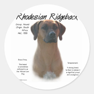 Adesivo Design da história de Rhodesian Ridgeback