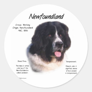 Adesivo Design da história de Terra Nova (landseer)