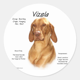 Adesivo Design da história de Vizsla