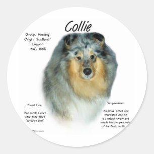 Adesivo Design da história do Collie (merle áspero)
