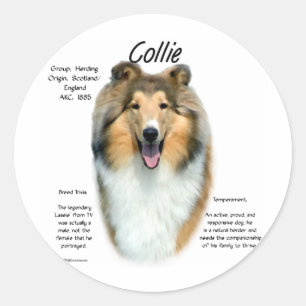 Adesivo Design da história do Collie (sable áspero)