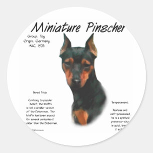 Adesivo Design da história do Pinscher diminuto