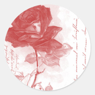 Adesivo Design de Cartão Postal rosa vermelha