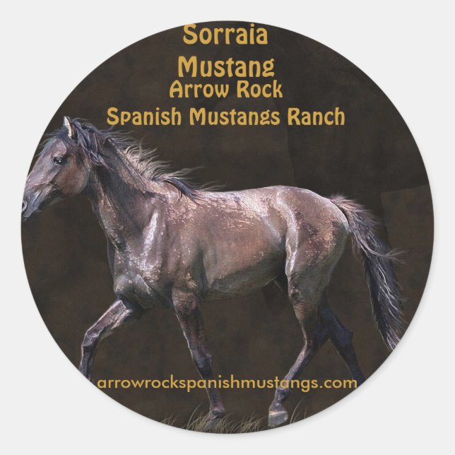 Adesivo Design de equinos amantes de cavalos (Frente)