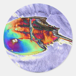 Adesivo Design de Foil de Caranguejo-Ferradura