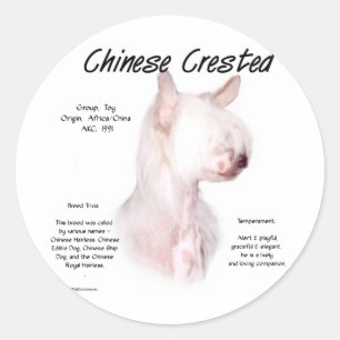 Adesivo Design de História Chinês Detido (sem pelo)