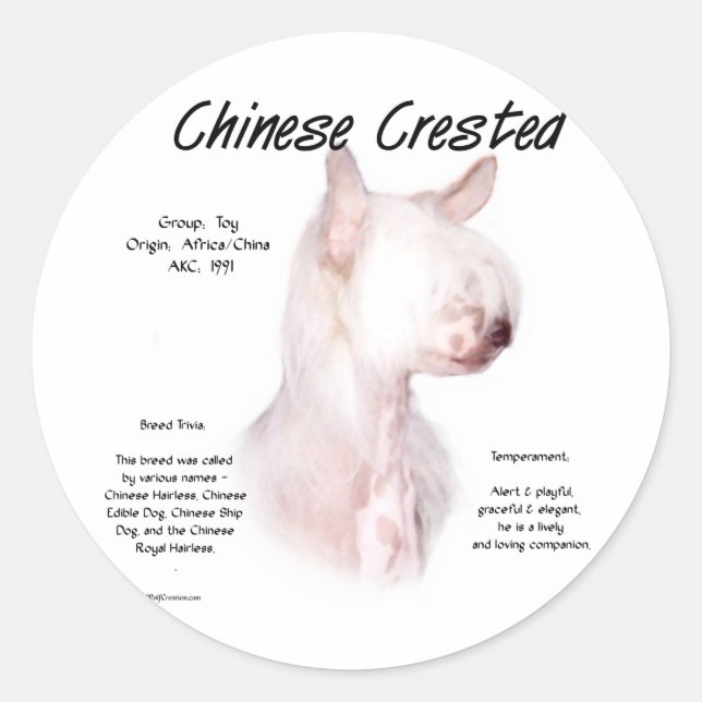 Adesivo Design de História Chinês Detido (sem pelo) (Frente)