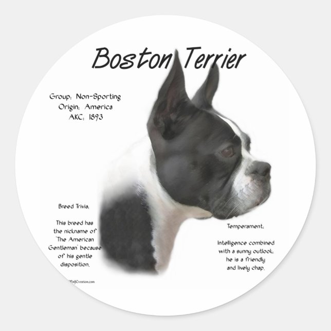 Adesivo Design de História de Boston Terrier (Frente)