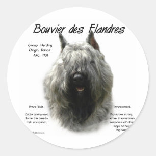 Adesivo Design de História de Bouvier des Flandres