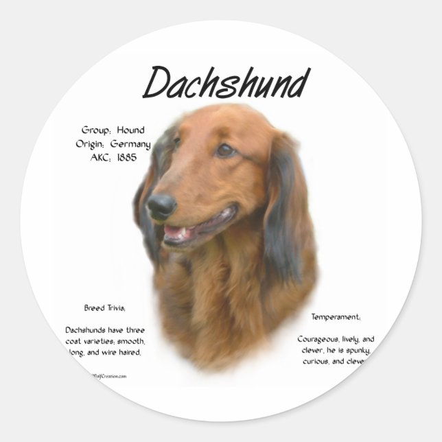 Adesivo Design de História de Dachshund (longhair) (Frente)