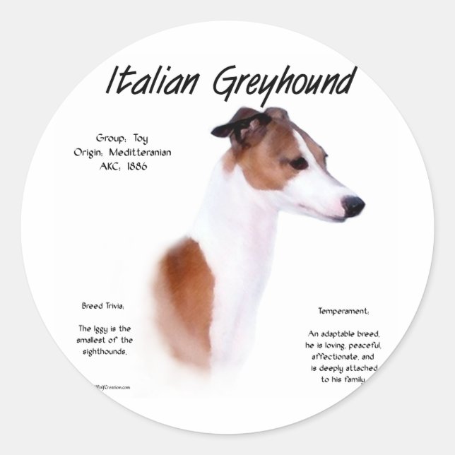 Adesivo Design de História de Greyhound Italiano (Frente)