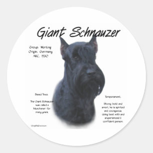 Adesivo Design de História do Giant Schnauzer