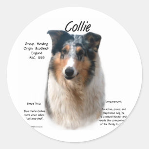 Adesivo Design de Histórico Collie (mesclagem suave)