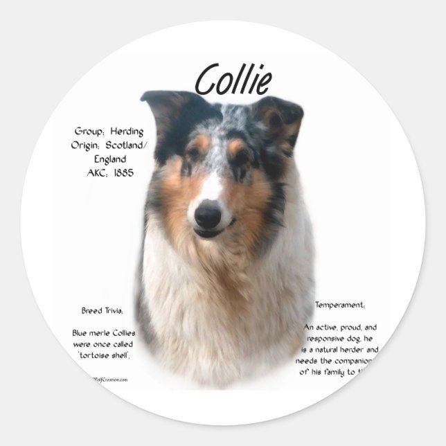 Adesivo Design de Histórico Collie (mesclagem suave) (Frente)