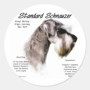 Adesivo Design de Histórico de Schnauzer Padrão