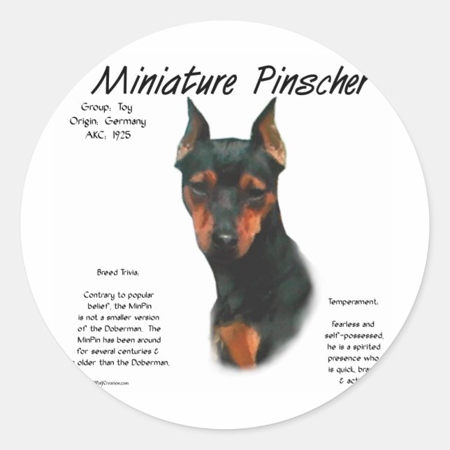Adesivo Design de histórico do Pinscher Miniatura (preto/f (Frente)