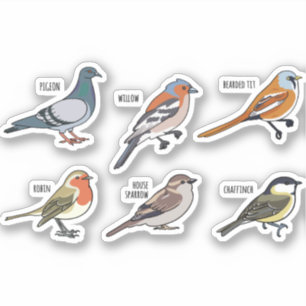ADESIVO DESIGN DE ILUSTRAÇÃO DE AVES
