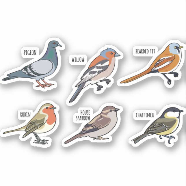 ADESIVO DESIGN DE ILUSTRAÇÃO DE AVES (Frente)