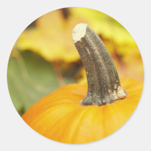 Adesivo Design de outono