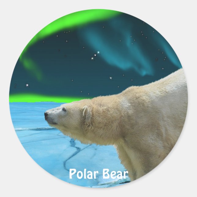 Adesivo Design de Ursos para Animais e Animais Selvagens (Frente)