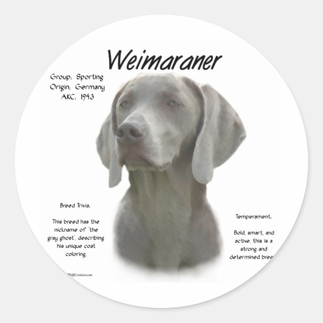 Adesivo Design do Histórico do Weimaraner (Frente)