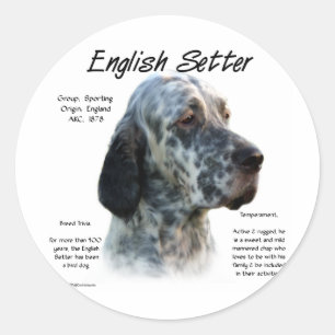 Adesivo Design do Inglês Setter History