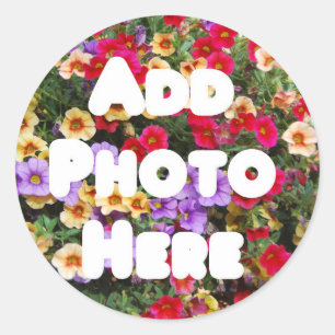 Adesivo Design do modelo de Zazzle minha própria