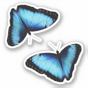 Adesivo Design inspirado na natureza