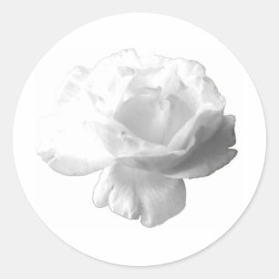 Adesivo Design Rosa Branco