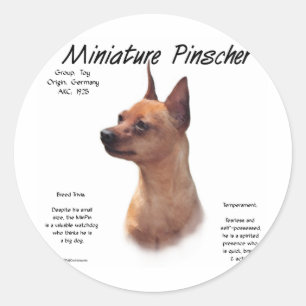 Adesivo Design (vermelho) da história do Pinscher diminut