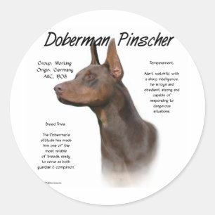 Adesivo Design (vermelho) da história do Pinscher do