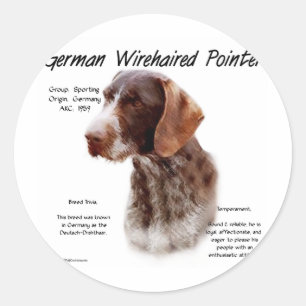 Adesivo Design Wirehaired alemão da história do ponteiro