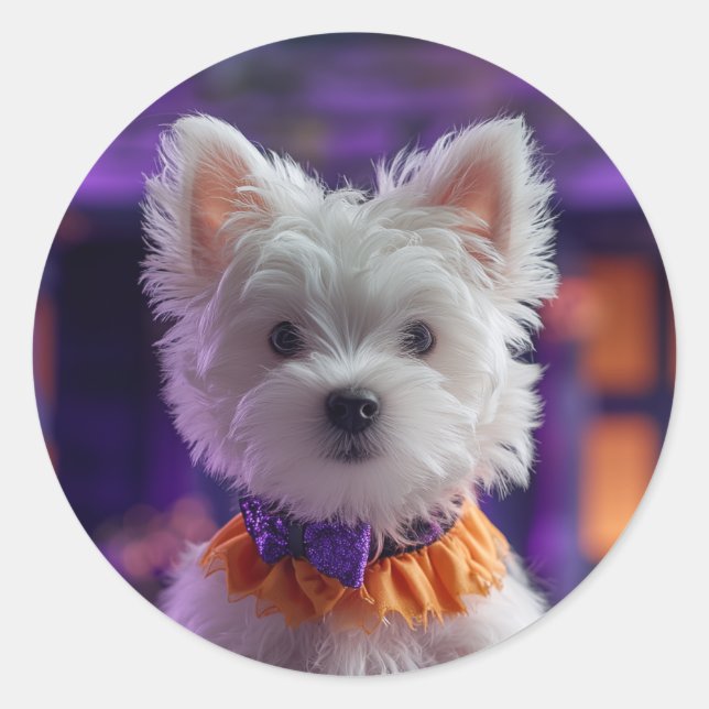 Adesivo Design your own Custom Photo Stickers (Frente)