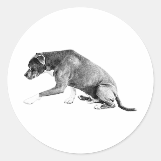 Adesivo Despertar com Corte Die — Combinação Pitbull (Frente)